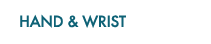 Hand & Wrist